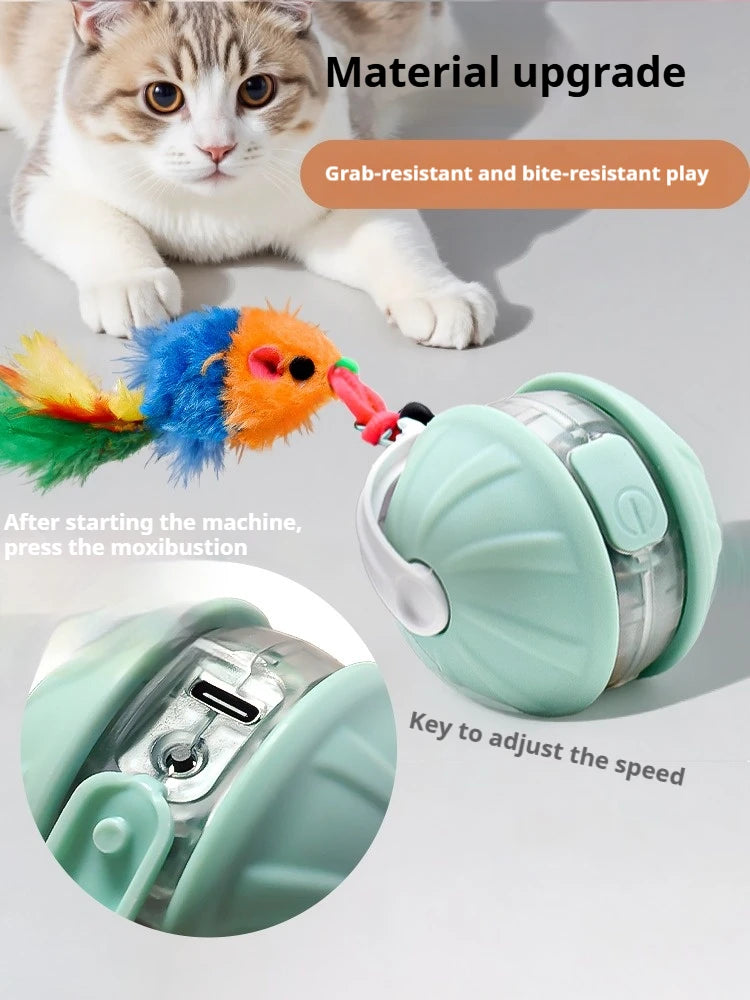 Cat Infrared Interactive Ball Toy for Cats | EURO VIBE UK