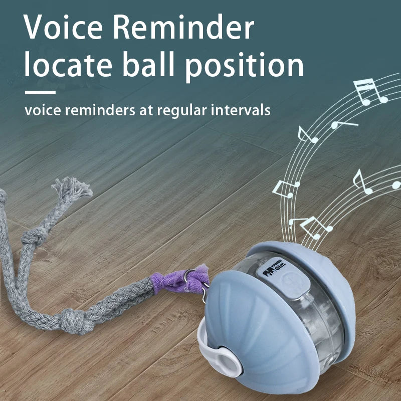Cat Infrared Interactive Ball Toy for Cats | EURO VIBE UK
