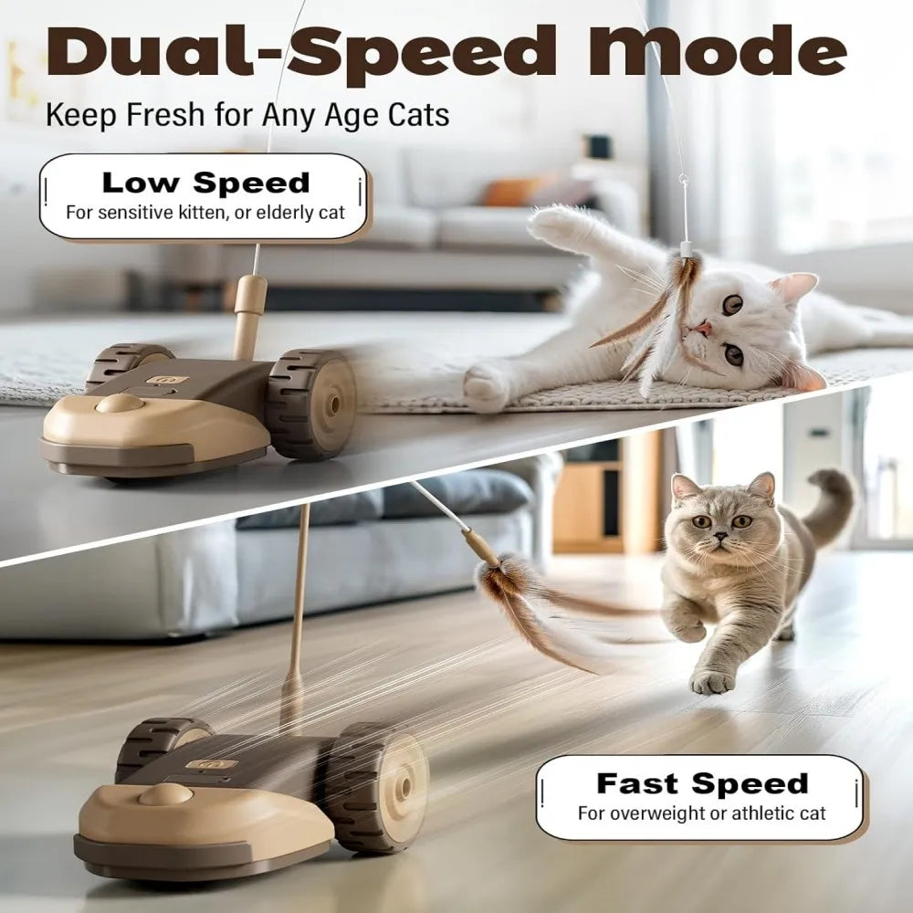 EURO VIBE Rolling Cat Teaser Toy | Feather Chase Play Set