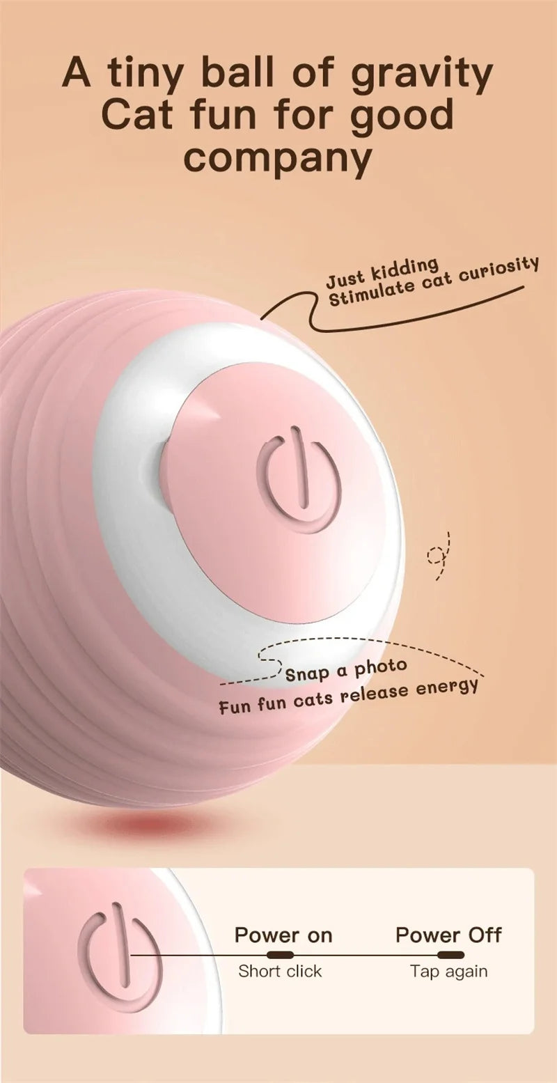 “Automatic Teasing Cat Ball Toy – Interactive Smart Rolling Pet Toy USA”