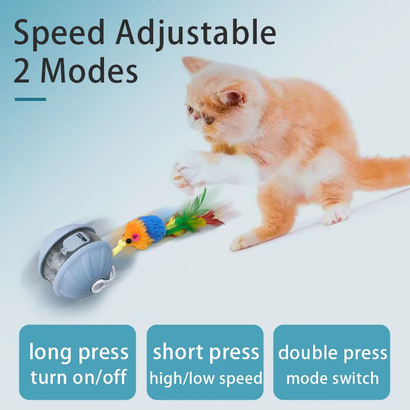 Cat Infrared Interactive Ball Toy for Cats | EURO VIBE UK