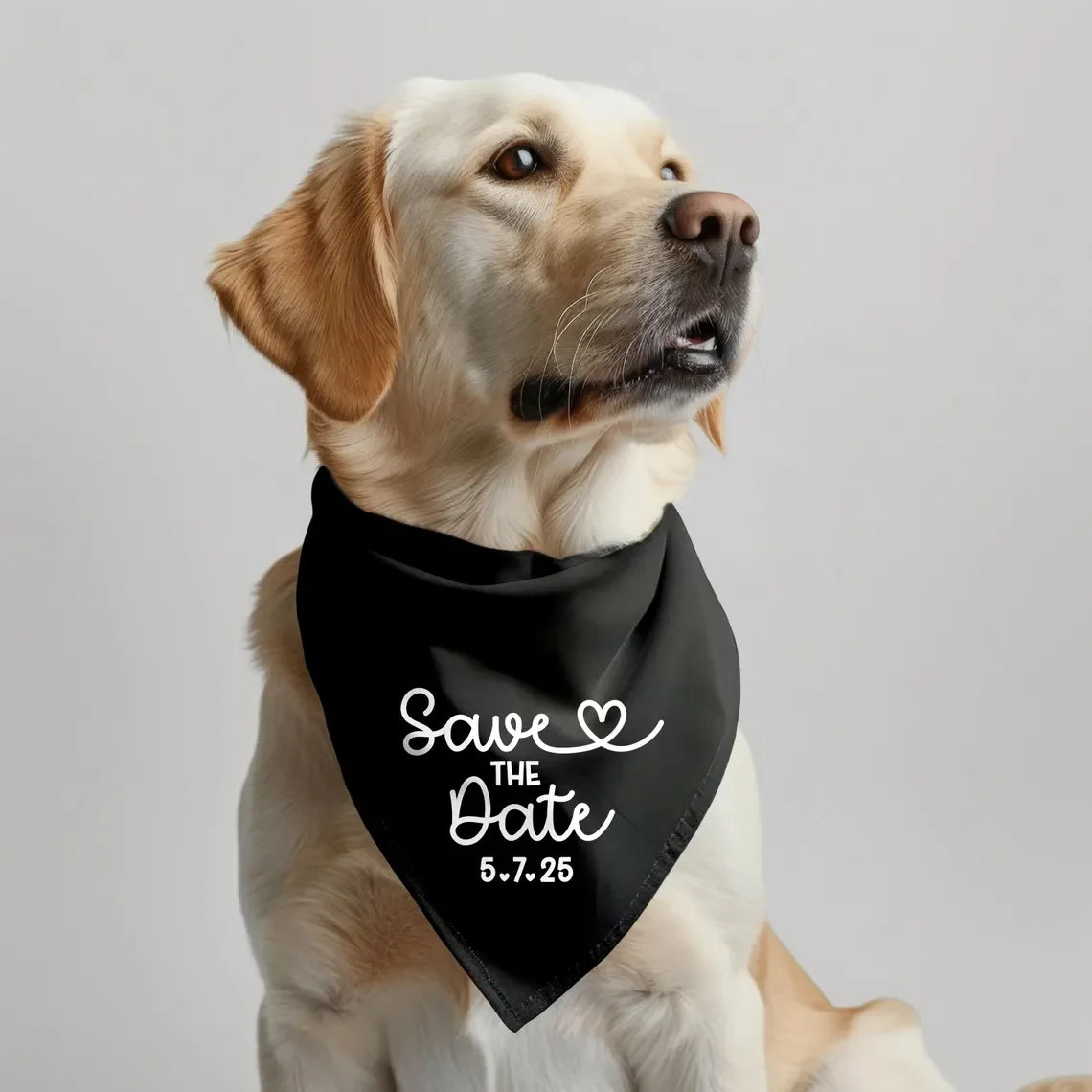 EURO VIBE Save the Date Dog Bandana – Wedding Announcement Accessory
