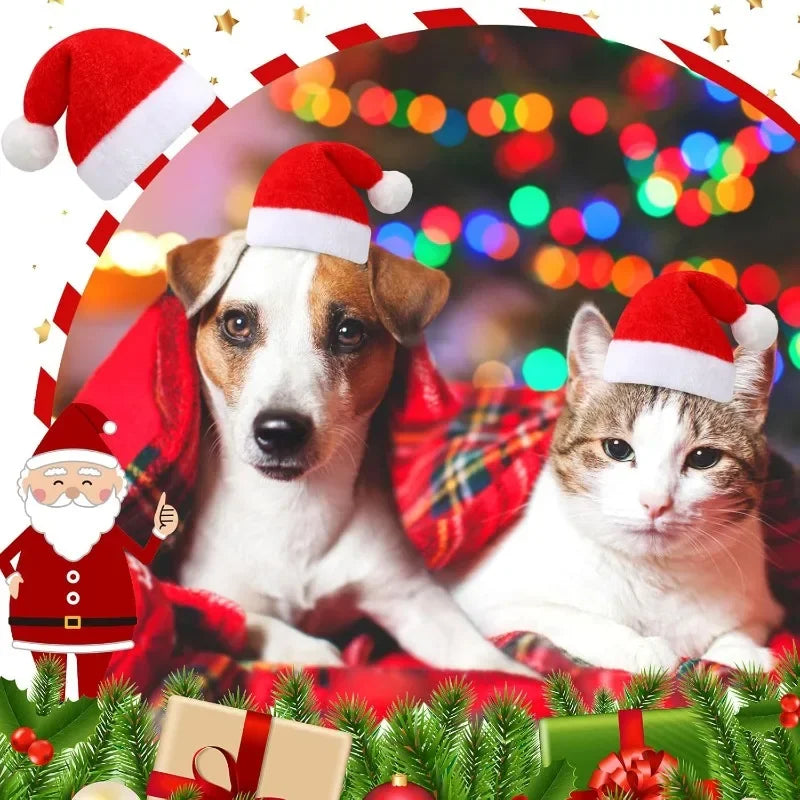 Christmas Pet Santa Hat for Dogs & Cats – Cute Holiday Costume Accessory