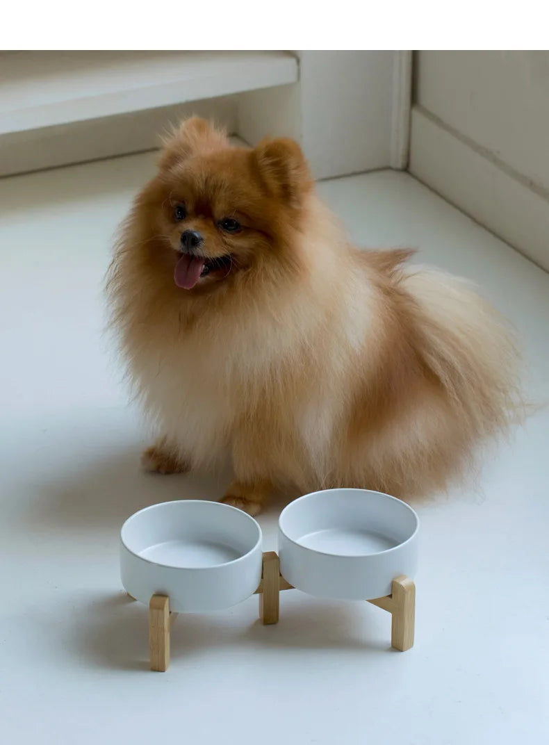 “Modern Elevated Pet Feeding Bowl Set – Raised Dog & Cat Feeder