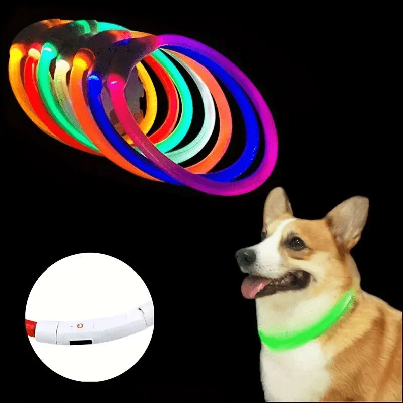 LED Glow Safety Dog Collar – Rechargeable Light Up Pet Neck Ring UK