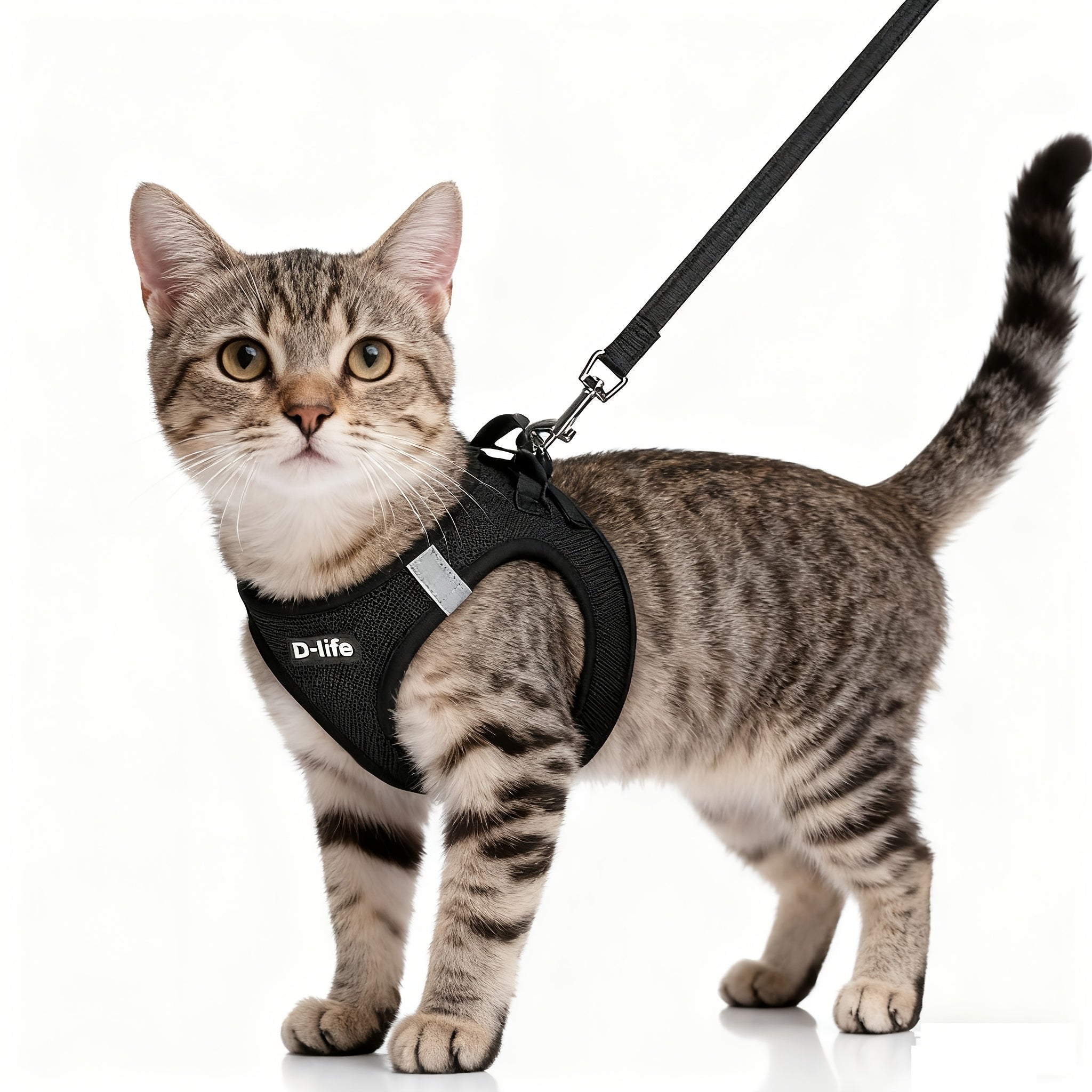 EURO VIBE Cat Harness & Leash – Escape Proof Walking Set UK