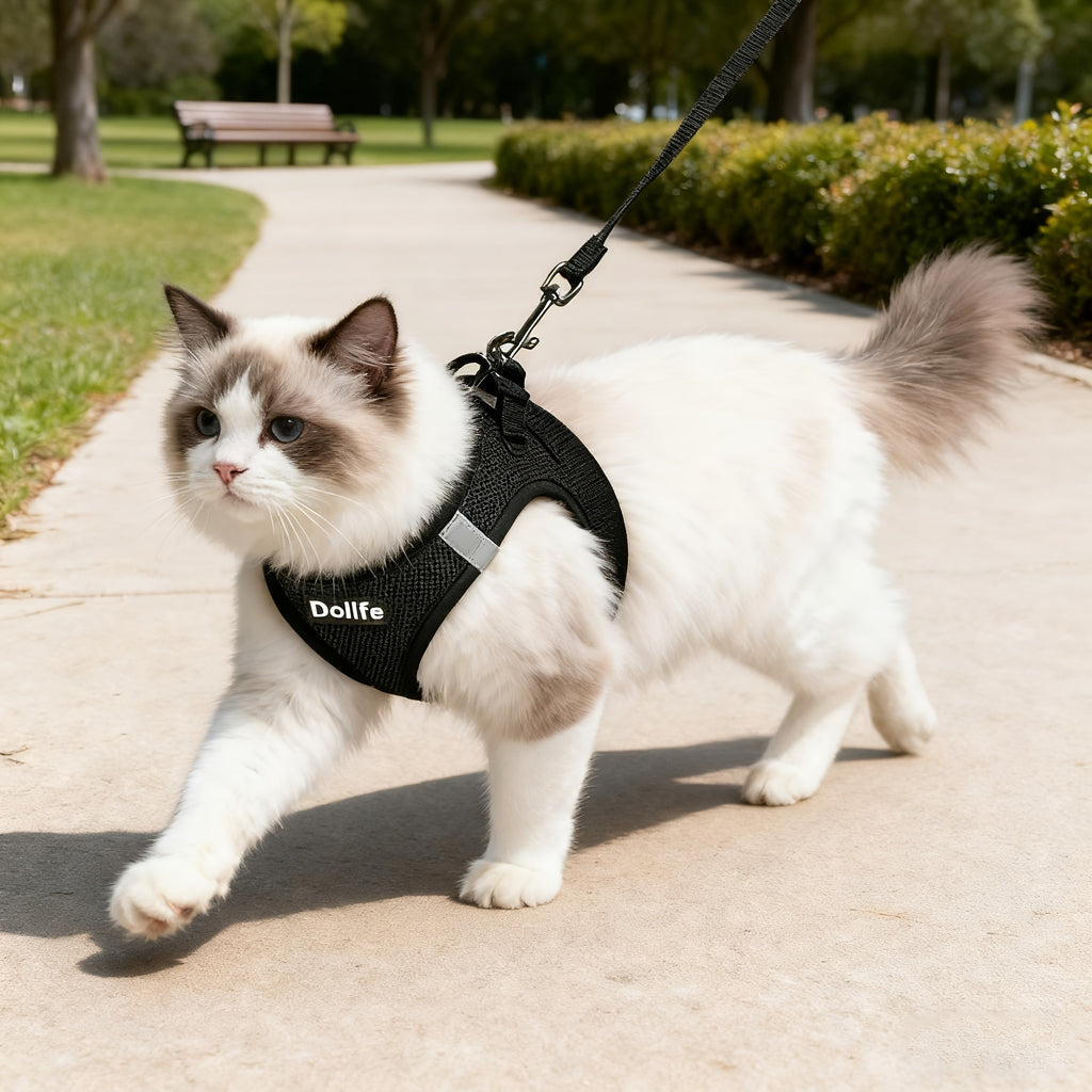 EURO VIBE Cat Harness & Leash – Escape Proof Walking Set UK