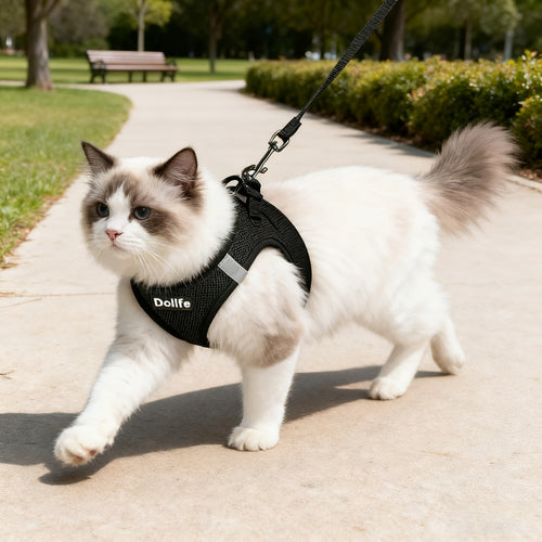 EURO VIBE Cat Harness & Leash – Escape Proof Walking Set UK